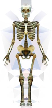 Poligonal modern öğeleri