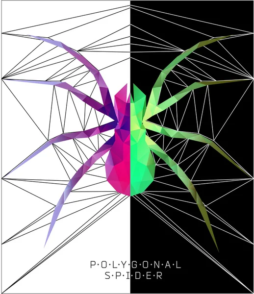 多边形的蜘蛛。几何图 — 图库矢量图片