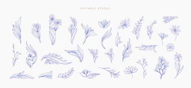 Detaylı çiçek ve botanik dekorasyon malzemeleri seti. Düğün davetiyesi, duvar kâğıdı sanatı ya da tarih kartı için lüks, zarif tasarım unsurları. Düzenlenebilir vuruş vektörü