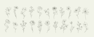 Detaylı çiçek seti ve düzenlenebilir felçli dallar. El çizimi vektör illüstrasyonu, davet için botanik ögeler, tarih kartını kaydet.