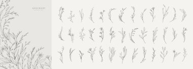 Çiçekli ve yapraklı narin botanik dalları. Çiçek tasarım elementleri seti. Davet için vektör illüstrasyonu, tarih kartını kaydet.