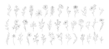 Detaylı çiçek seti ve düzenlenebilir felçli dallar. El çizimi vektör illüstrasyonu, davet için botanik ögeler, tarih kartını kaydet.