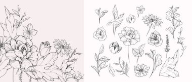 Detaylı siyah beyaz çizimler çeşitli çiçek ve yapraklar. Düğün davetiyesi için lüks çiçek koleksiyonu, duvar kâğıdı sanatı ya da randevu kartını sakla. Botanik vektör illüstrasyonu