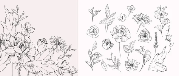 Detaylı siyah beyaz çizimler çeşitli çiçek ve yapraklar. Düğün davetiyesi için lüks çiçek koleksiyonu, duvar kâğıdı sanatı ya da randevu kartını sakla. Botanik vektör illüstrasyonu