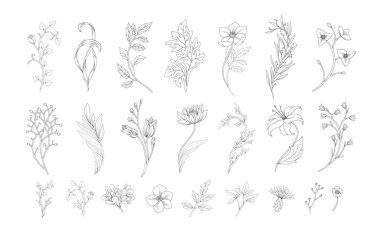 Retro doğrusal çiçekler ve botanik elementler seti. Sanat eseri el çizimi dallar ve çiçek açar. Davetiye için zarif unsurlar tarih kartını kaydet. Vektör illüstrasyonu.