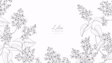 Leylak çiçek açıyor. Çiçekler ve brunch ile bahar arkaplanı. Anneler Günü daveti ya da düğün davetiyesi için ayrıntılı botanik çizimi