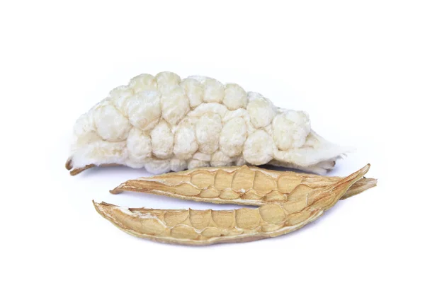 Capok, Ceiba pentandra ou árvore de algodão de seda branca (Ceiba pentandr — Fotografia de Stock