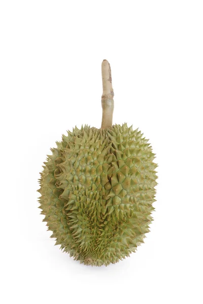 Poniedziałek stringi durian owoców na białym tle — Zdjęcie stockowe