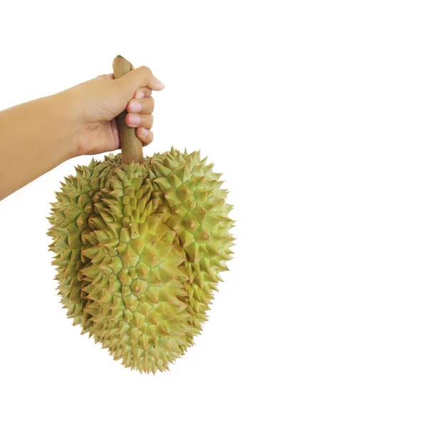 Mon String durian fruit sur fond blanc Photo De Stock