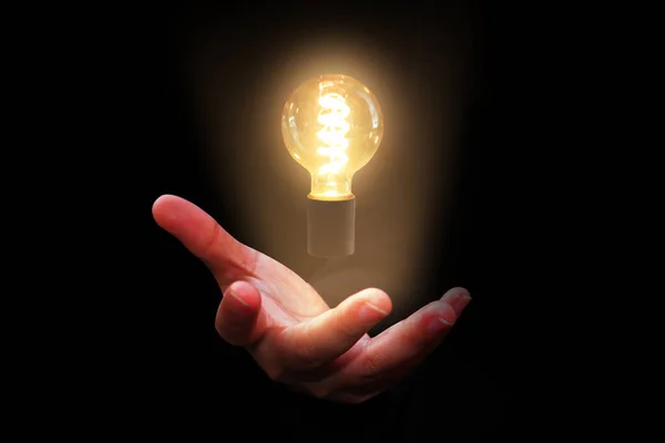 Hand Holding Light Bulb Stock Image