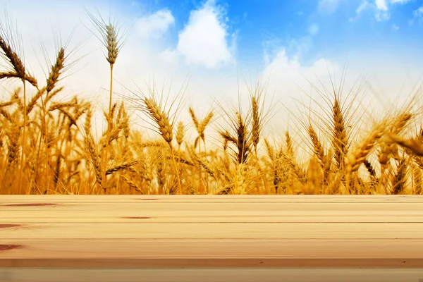 View Table Wheat Field — Stock Photo, Image