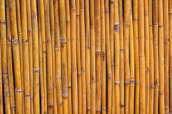 Fundo de bambu — Fotografia de Stock