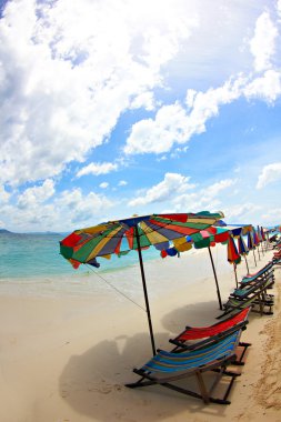 Şemsiye ve güzel bir plaj sandalye. Khai ada Phuke