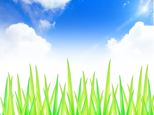 Green grass with blue sky — Stock Photo, Image