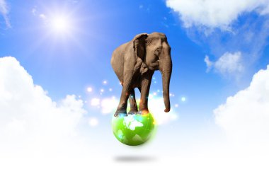 Dünya üzerinde Dengeleme fil