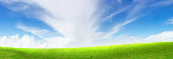 Grama verde com céu azul brilhante — Fotografia de Stock