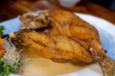 Beyaz tabakta balık sosu ve yeşil mango ve havuçlu baharatlı salatayla birlikte yenen balık balığının (levrek) yakın çekimi. Bu menü deniz ürünleri restoranında Tayland yemeği tavsiye edilir.