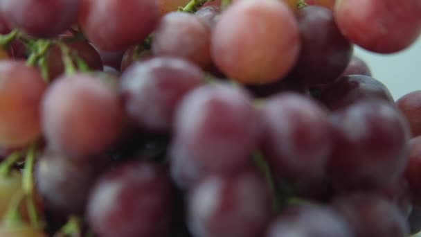 Uitzoomen Van Verse Rode Druiven — Stockvideo