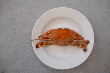 Buğulanmış mavi yüzen yengeç beyaz tabakta