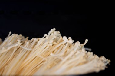 Enoki mantarı, altın iğne mantarı. Seçici odak
