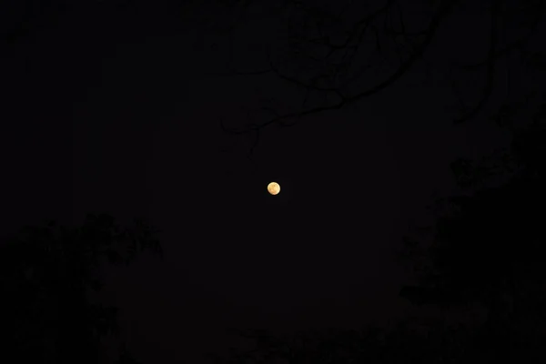 Une Lune Orange Dans Nuit Noire Travers Les Objectifs Caméra — Photo