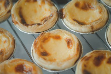 Tatlı yumurtalı tart ya da Portekizli yumurtalı tart tatlı krema. Seçici odak.