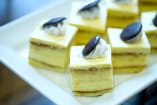 Piece Tiramisu Cake Display Tray Selective Focus — Stock Photo, Image