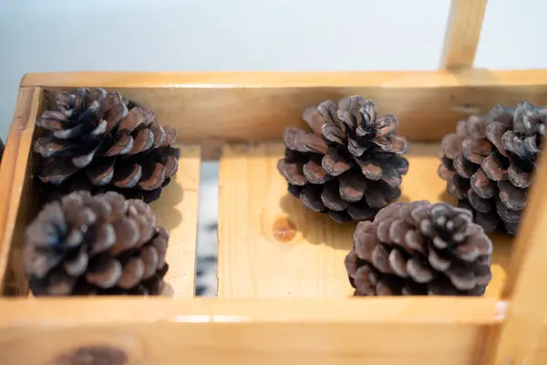 自宅で木の箱の装飾で松のコーン — ストック写真