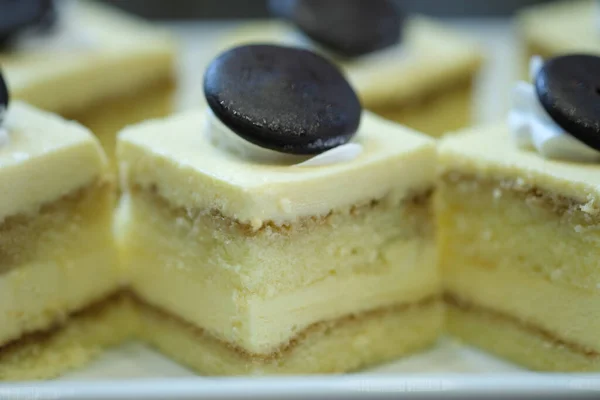 Piece Tiramisu Cake Display Tray Selective Focus — Stock Photo, Image