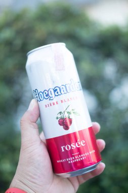 Samut Prakan, Tayland - 15 Ocak 2021: Adamın eli elinde bir kutu Hoegaarden Rosee tutuyor. Şu anda Tayland 'da popüler olan içiciler.