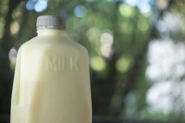 Галлон Свежего Молока Серой Пластиковой Крышкой Фоне Природы — стоковое фото