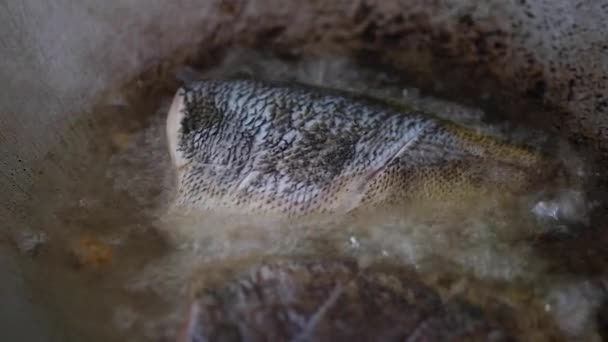 Menggoreng Ikan Tilapia Dalam Panci Panas Wajan Thailand Makanan Buatan — Stok Video