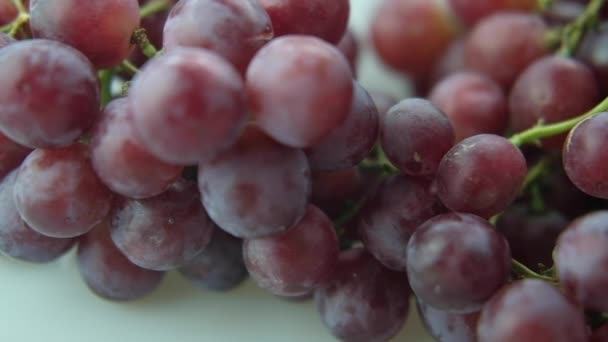 Close Sliding View Shot Fresh Seedless Grapes — Stock video