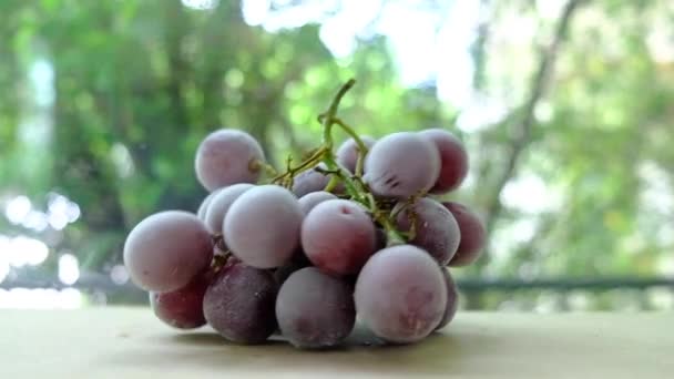 Hand Place Freeze Red Grapes Table Slow Motion Shot — Stock Video