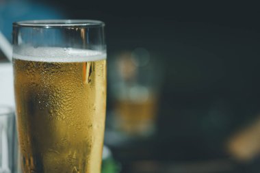 Bar arka planında bira dolu pilsner tarzı bir bardak.