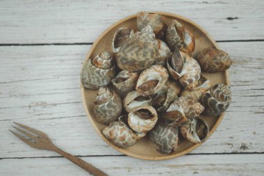 Babylonia Areolata shellfish seafood on wood plate. Top view