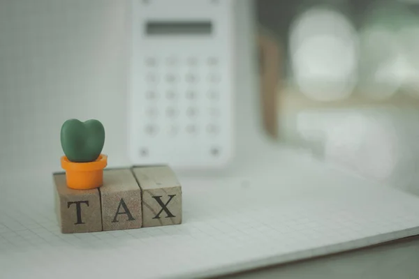 Мини Кактус Помещен Кубиками Словом Tax Бумаге Калькулятором Концепция Расчета — стоковое фото