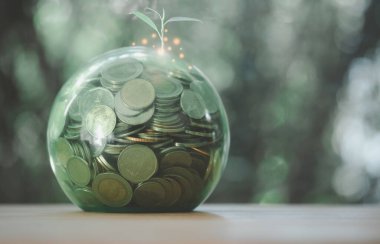 Temiz yeşil cam kavanozda para ile yetişen bitkiler. Gelecek için tasarruf veya yatırım kavramı.