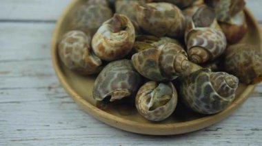 Taze pişmiş benekli babil. Döndürme çekimi