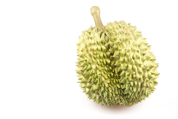 Durian Białym Tle Duriany Królem Owoców Mogą Być Uprawiane Odpowiednich — Zdjęcie stockowe
