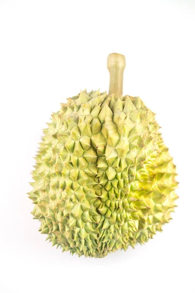 Durian Białym Tle Duriany Królem Owoców Mogą Być Uprawiane Odpowiednich — Zdjęcie stockowe