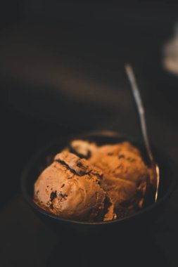 Tasty chocolate ice cream in a bowl. Selective focus