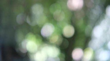  Soyut yeşil doğa bokeh arkaplan