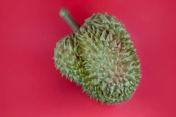 Król Owoców Durian Jest Znany Jako Król Owoców Azji Który — Zdjęcie stockowe