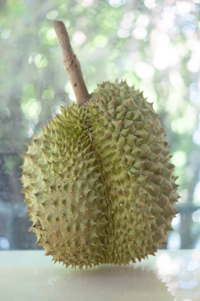 Grande Duriano Duriano Rei Dos Frutos Ásia Tailandesa — Fotografia de Stock