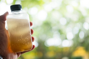 Taze limonlarla dolu bir şişeyi tazelemek ve doğaya aykırı bir bal..