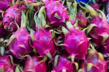 Canlı pembe ejderha meyvesi, eşsiz egzotik bir meyve.