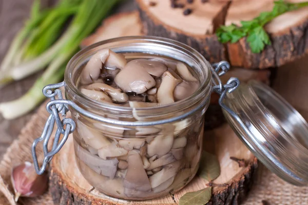 Marinated mushrooms in pot — Stock Photo, Image