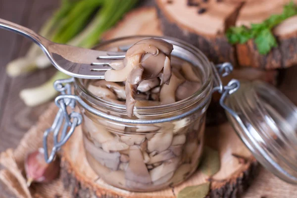 Marinated mushrooms in the pot on a fork — Stock Photo, Image