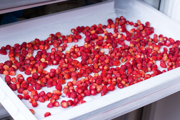 frozen berries  in a freezer